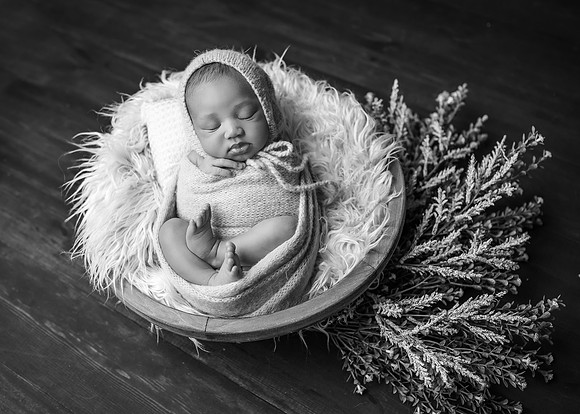 _Z728160-Edit