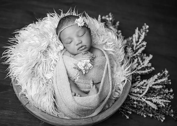 _Z728170-Edit