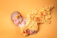 ZII_2626-Edit