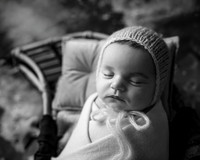 _Z728409-Edit