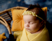 _Z728428-Edit