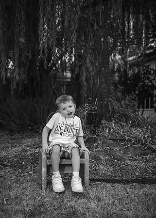 _Z629827