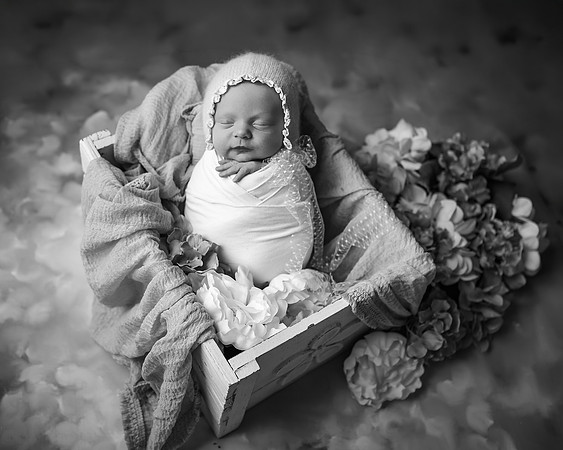 _Z623769-Edit