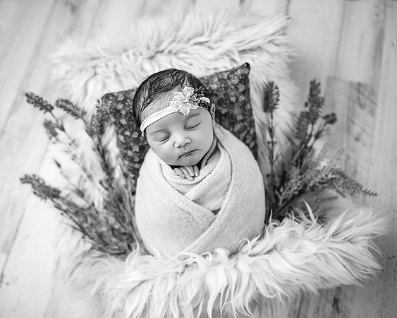 ZII_1419-Edit
