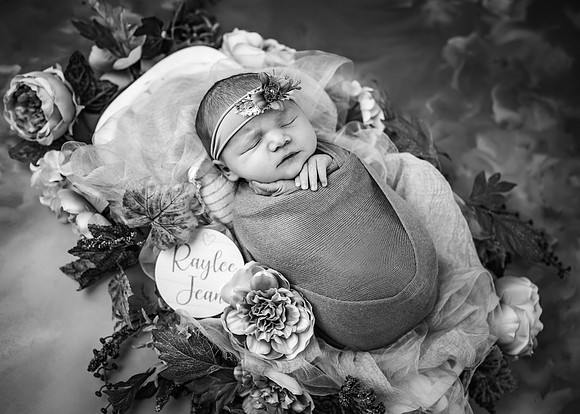 ZII_0209-Edit