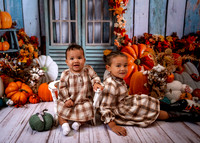 _Z625719