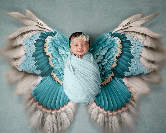 ZII_1518-Edit