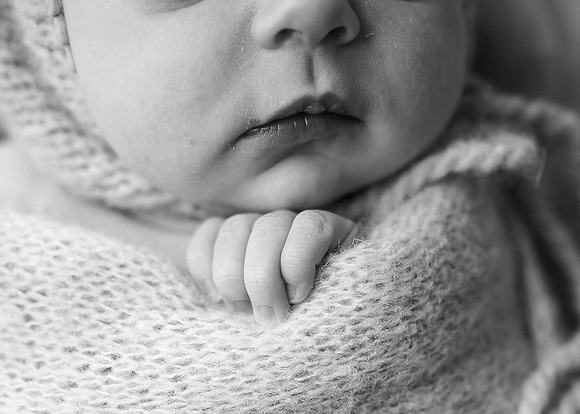 _Z623817