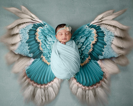ZII_1519-Edit