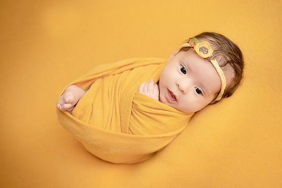 ZII_7594-Edit