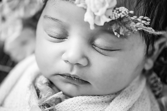 ZII_1460-Edit