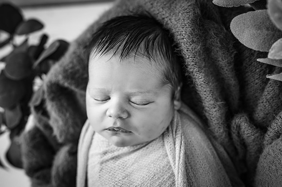 ZII_6953-Edit