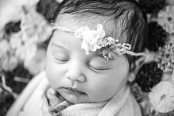 ZII_1459-Edit