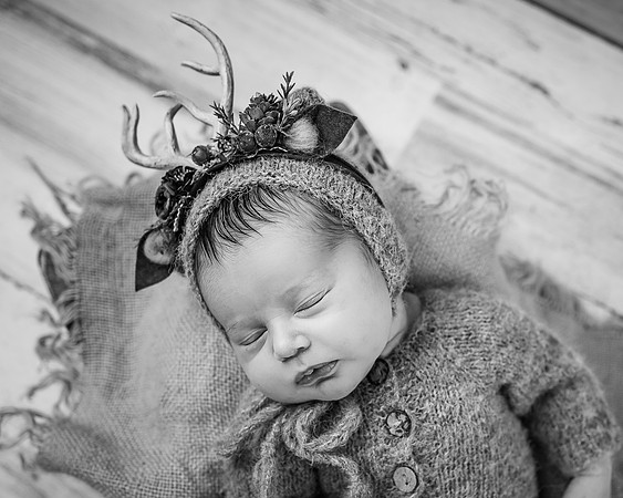 ZII_6906-Edit