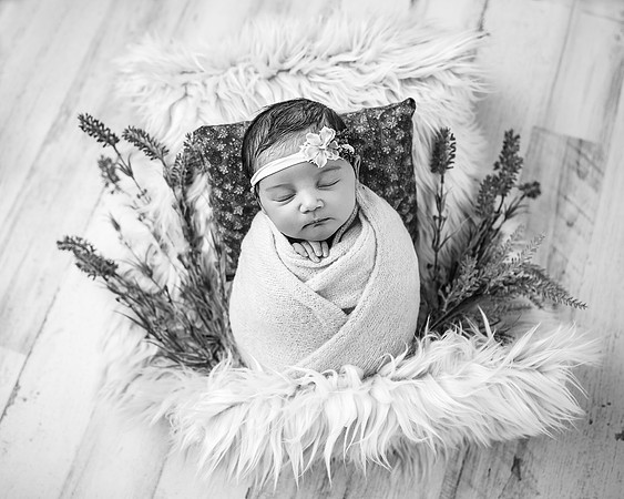 ZII_1417-Edit