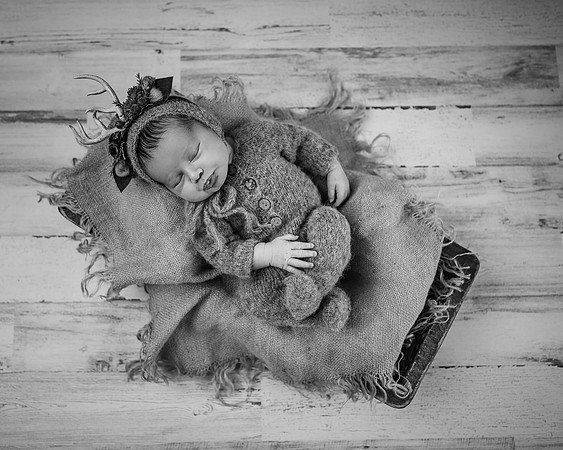 ZII_6894-Edit