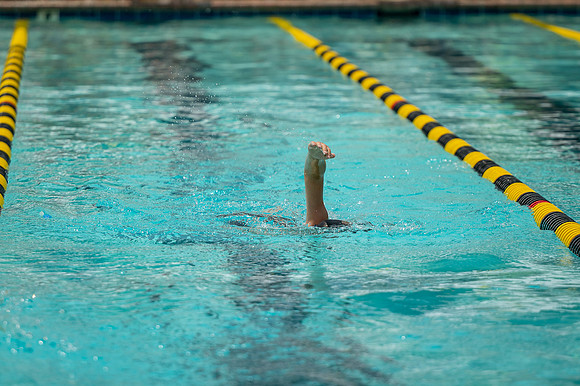 ZII_4157