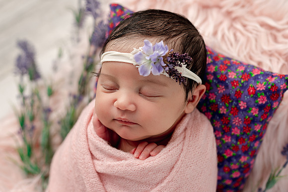ZII_1420-Edit