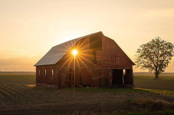 barn and sun
