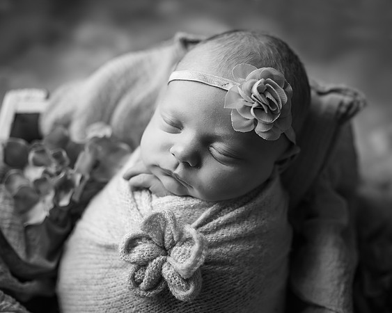 _Z623791-Edit