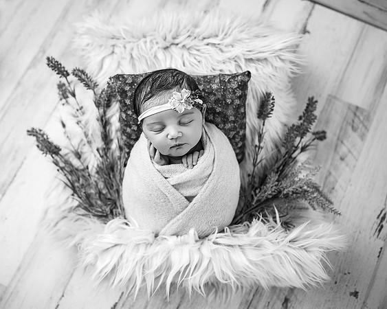 ZII_1427-Edit