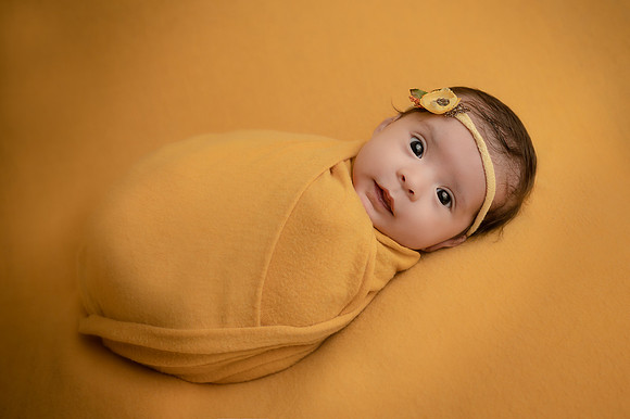 ZII_7563-Edit