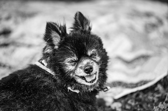 DSC_6148