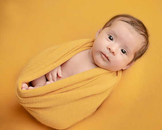 ZII_7661-Edit