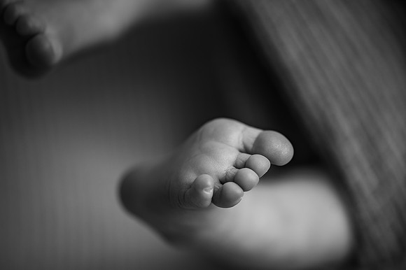 ZII_6091