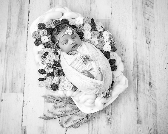 ZII_1452-Edit