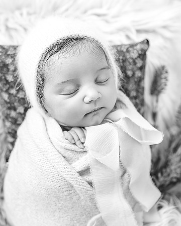 ZII_1414-Edit