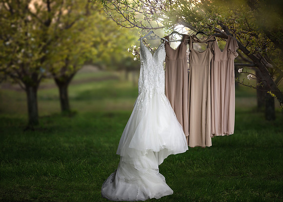 dresses