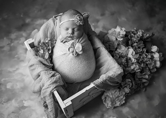 _Z623785-Edit