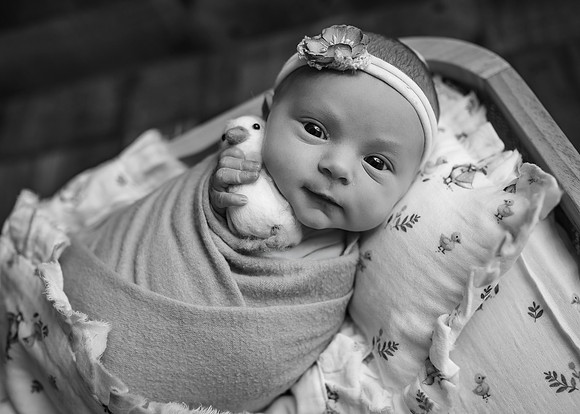 _Z623868-Edit
