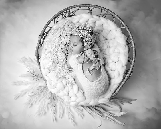 ZII_1475-Edit