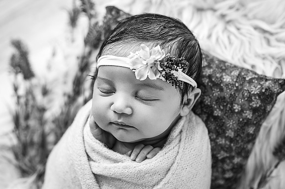 ZII_1421-Edit