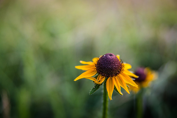 _6009488