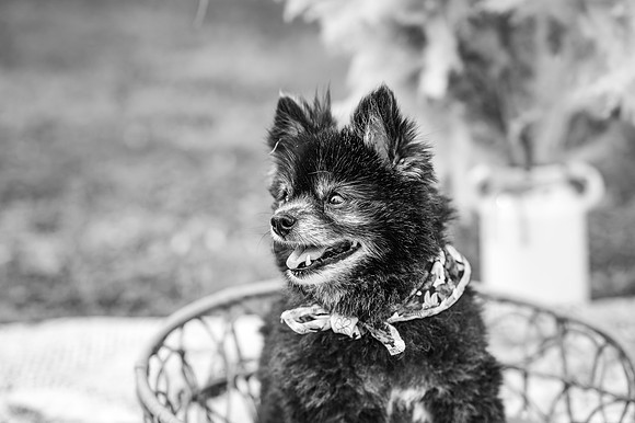 DSC_6098
