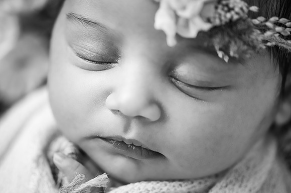 ZII_1461-Edit