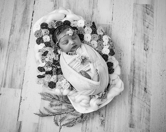 ZII_1456-Edit