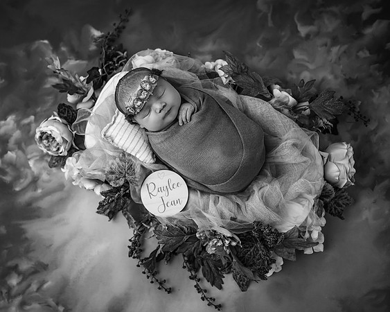 ZII_0182-Edit