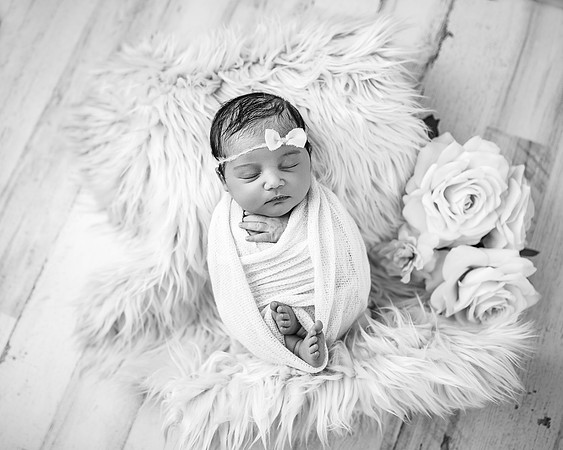 ZII_1431-Edit