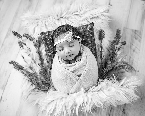 ZII_1423-Edit