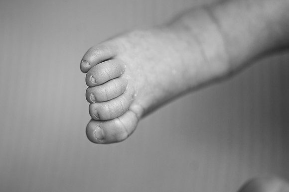 ZII_6093