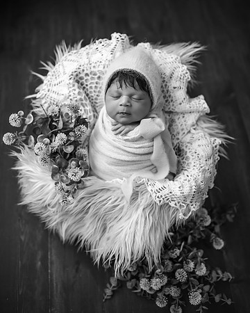 DSC_1950-Edit