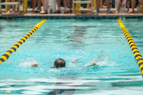 ZII_4269