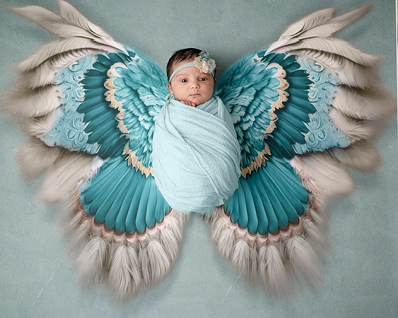 ZII_1534-Edit