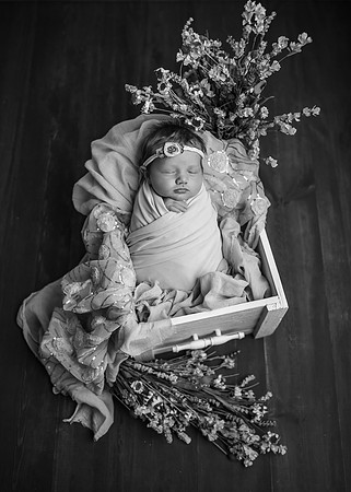 Z62_9661-Edit