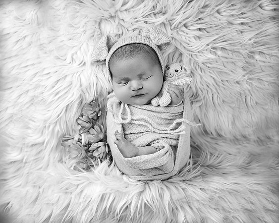 ZII_0254-Edit