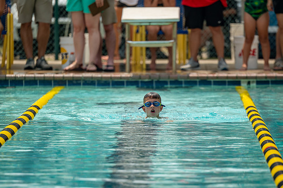 ZII_4341